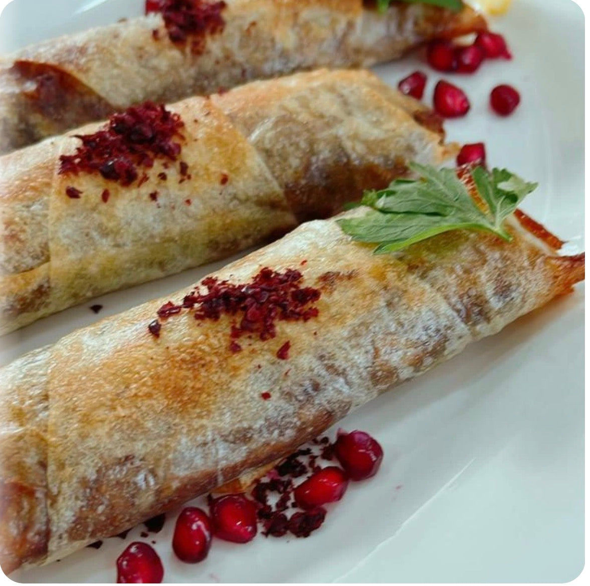 مسخن رولات 20 حبه