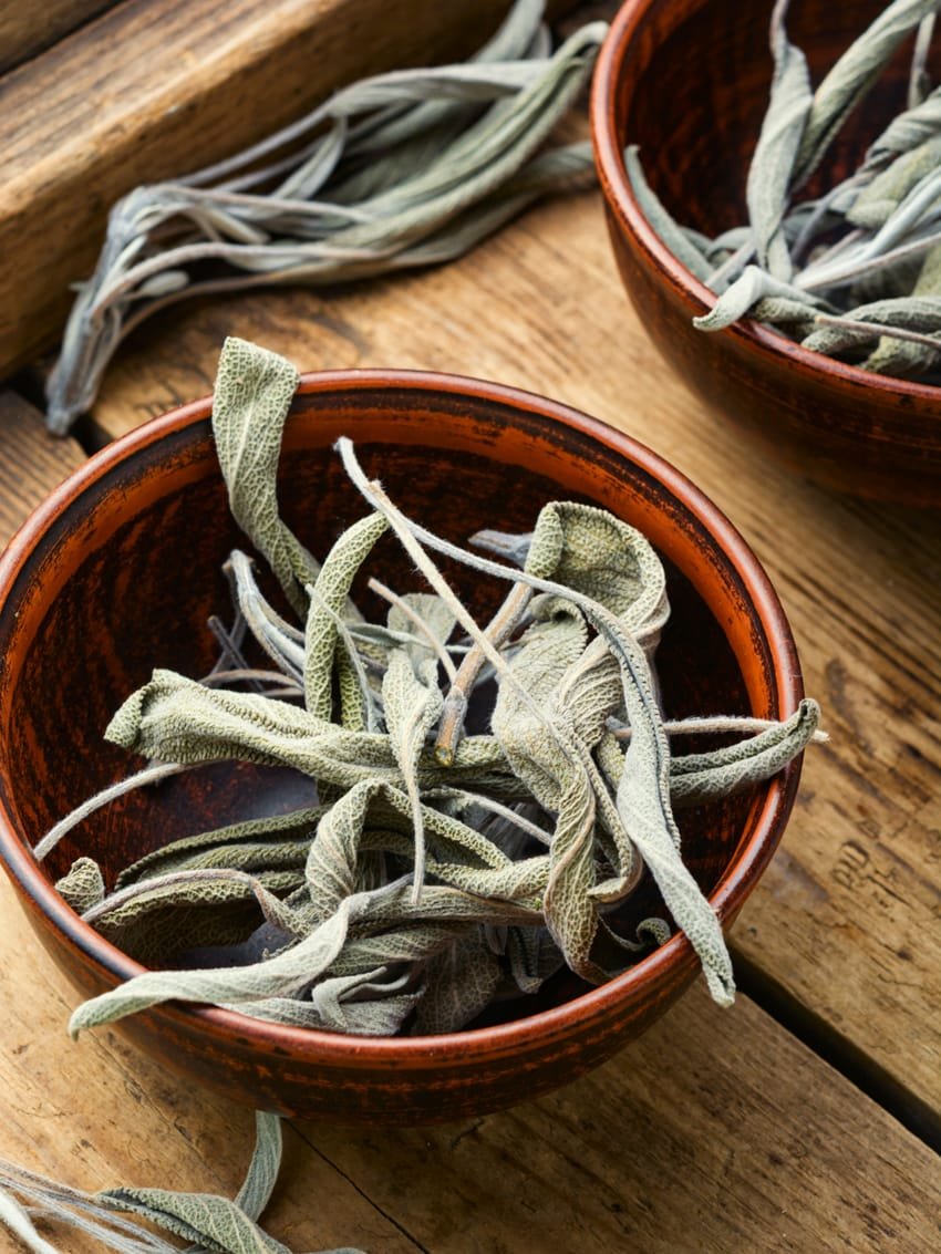 ميرمية (1 علبة متوسطة )