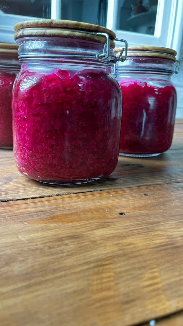 مخمرات صحية يحفظ مبردًا